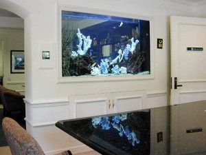 Designer Aquarium High End